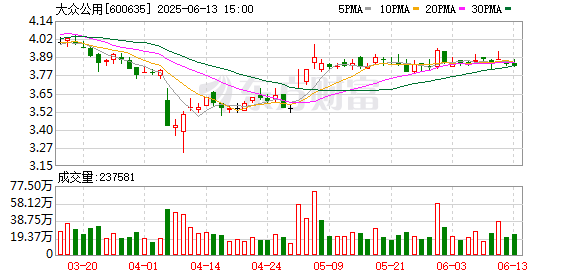 双盈策略 大众公用：2024年年度股东大会决议公告